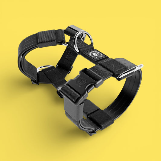 Training Anti Pull TRI-Harness® | M-XL Breeds - Black