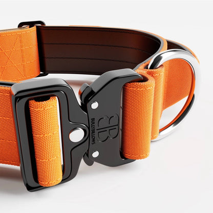 Combat® Collars 5cm | With Handle & Rated Clip