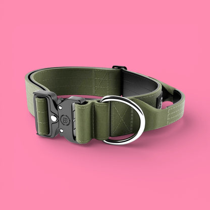 Combat® Collars 5cm | With Handle & Rated Clip