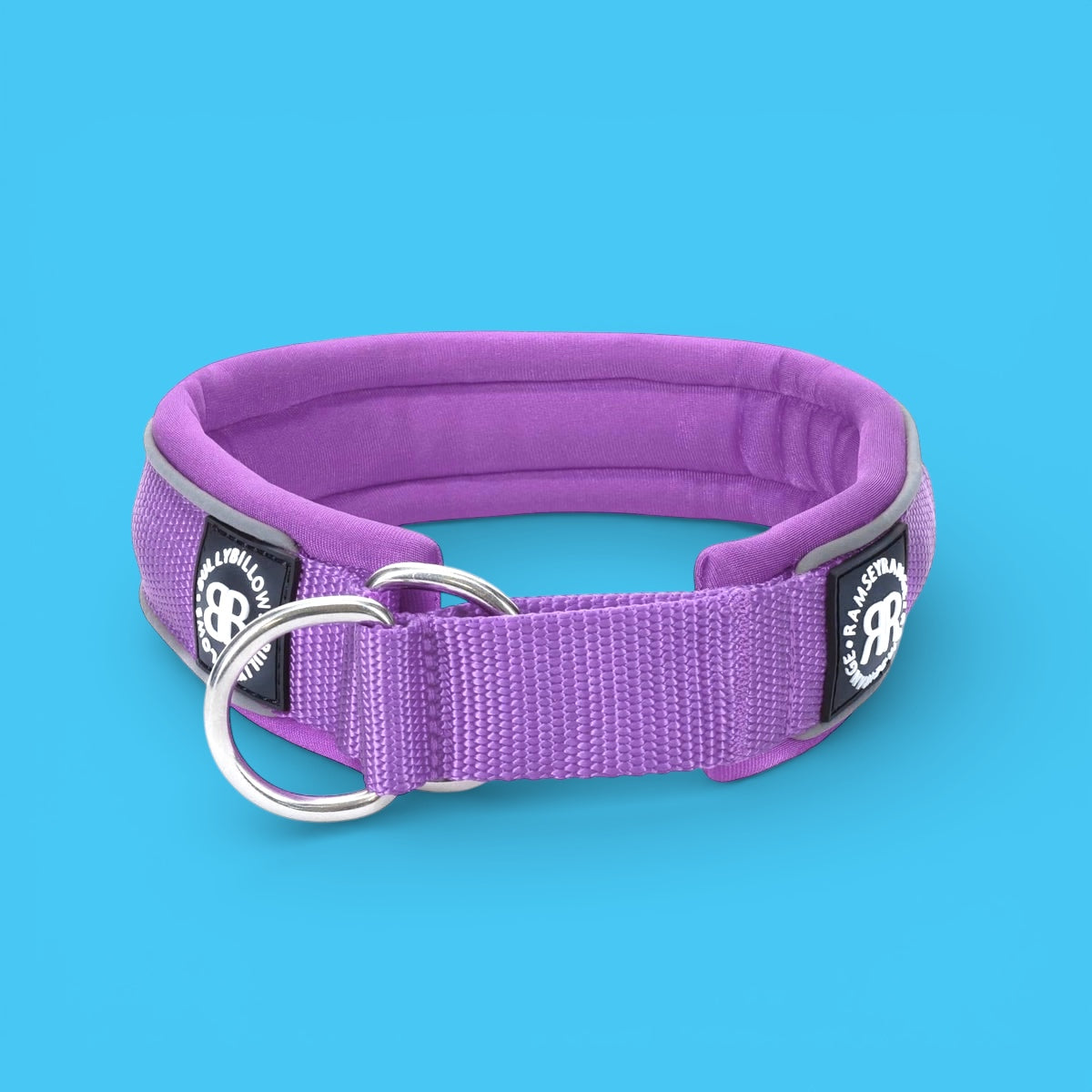 Slip on Collar 4cm | Foam Padded - Purple