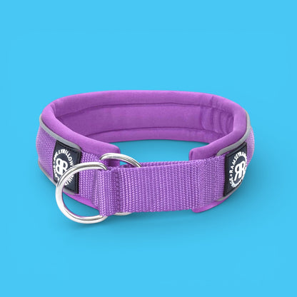 Slip on Collar 4cm | Foam Padded - Purple