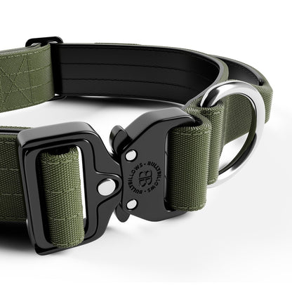 Combat® Collars 4cm | With Handle & Rated Clip