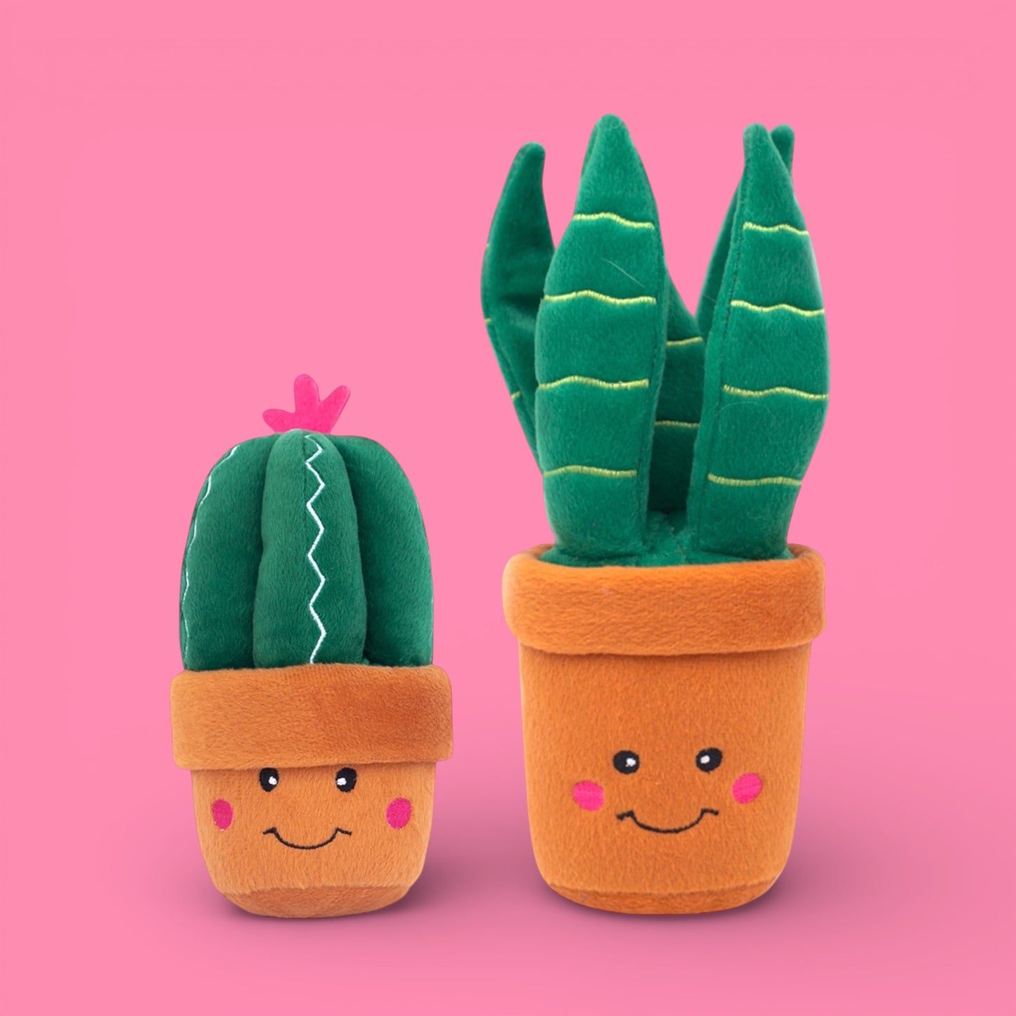 Succulent Plants Squeaker Dog Toys