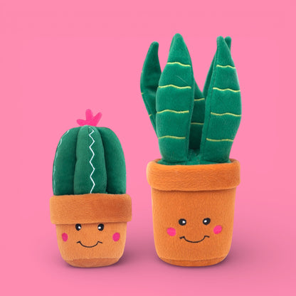Succulent Plants Squeaker Dog Toys