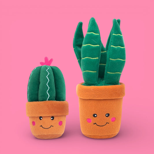 Succulent Plants Squeaker Dog Toys