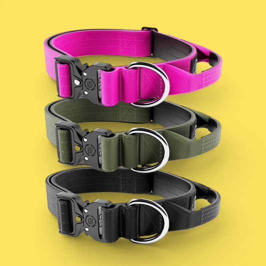 Combat® Collars 4cm | With Handle & Rated Clip