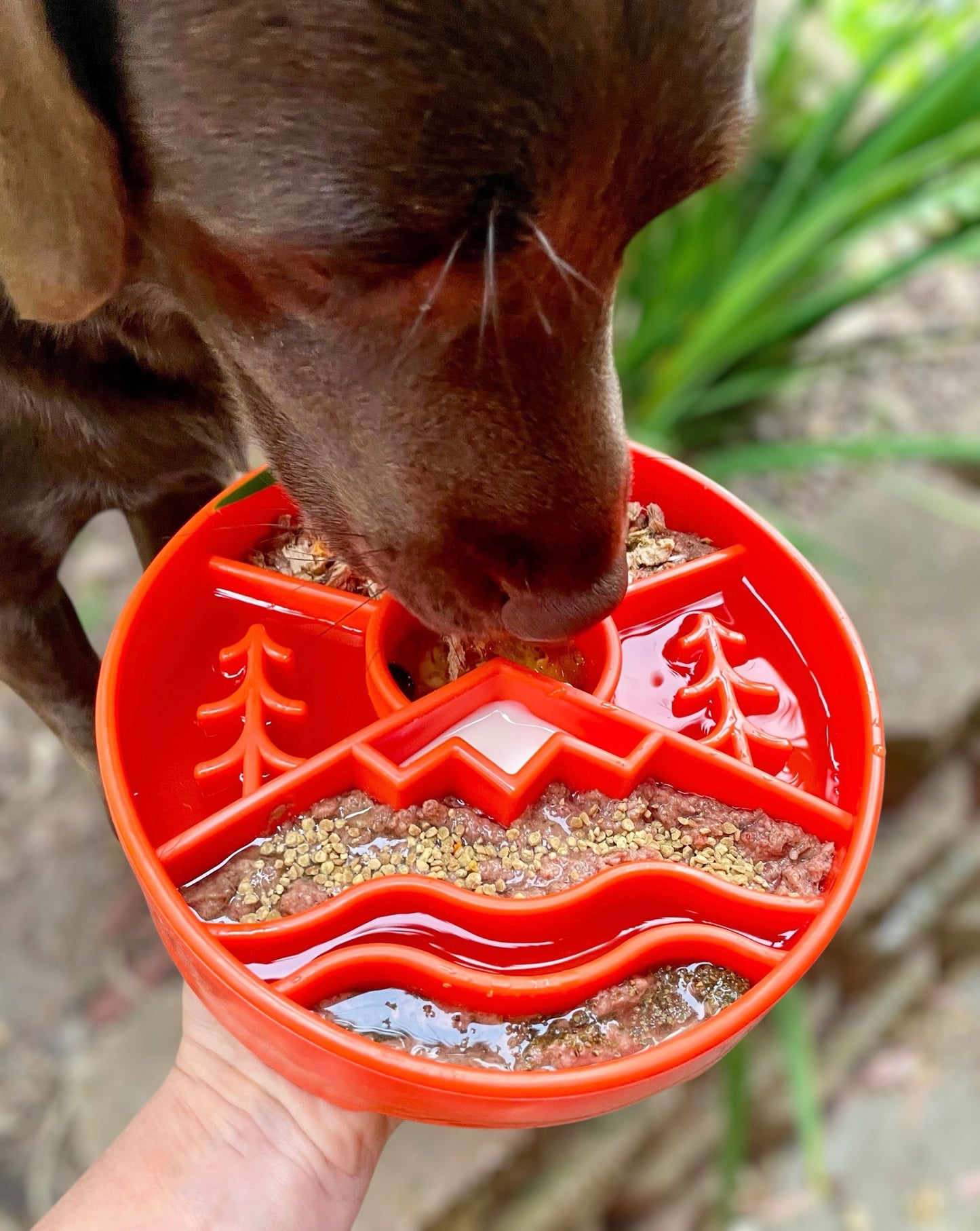 Great Outdoors Slow Feeder Dog eBowl