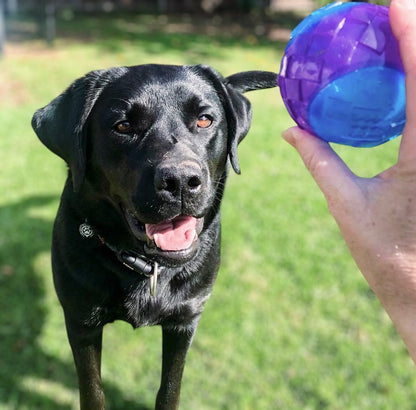 Classic Rubber Squeaky Ball