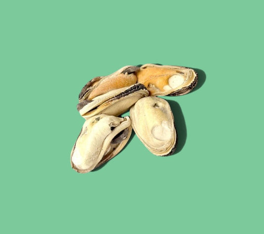 Green Lipped Mussells Freeze-Dried Dog Treats