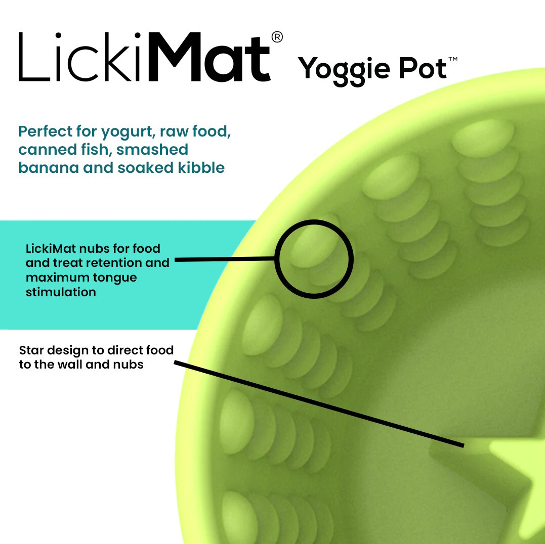 Yoggie Pot Slow Feeder Dog Bowl