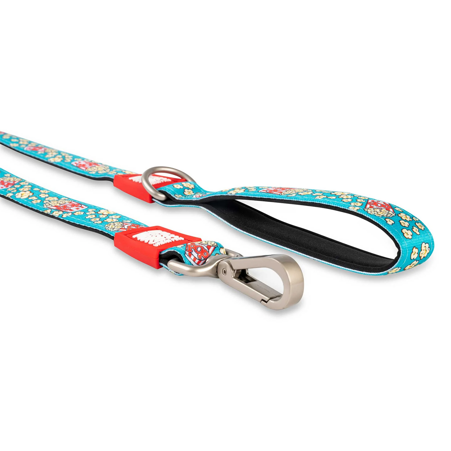 Small Dog Leash - Assorted