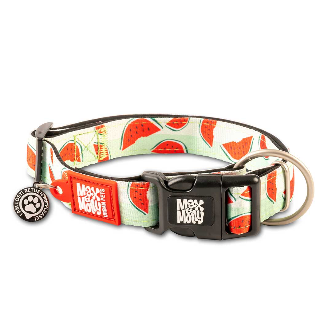 Small Smart ID Dog Collar - Watermelon