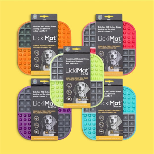 SloMo Wet & Dry Combo Slow Feeder Lick Mat
