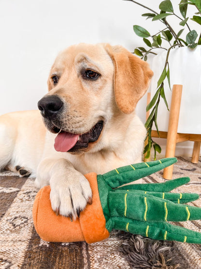 Succulent Plants Squeaker Dog Toys