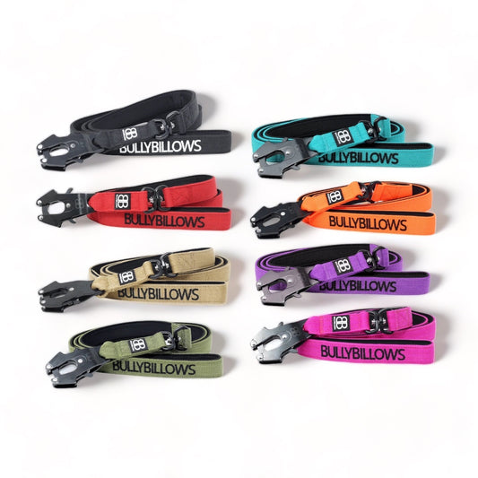 Swivel Combat Dog Lead - Assorted Colours