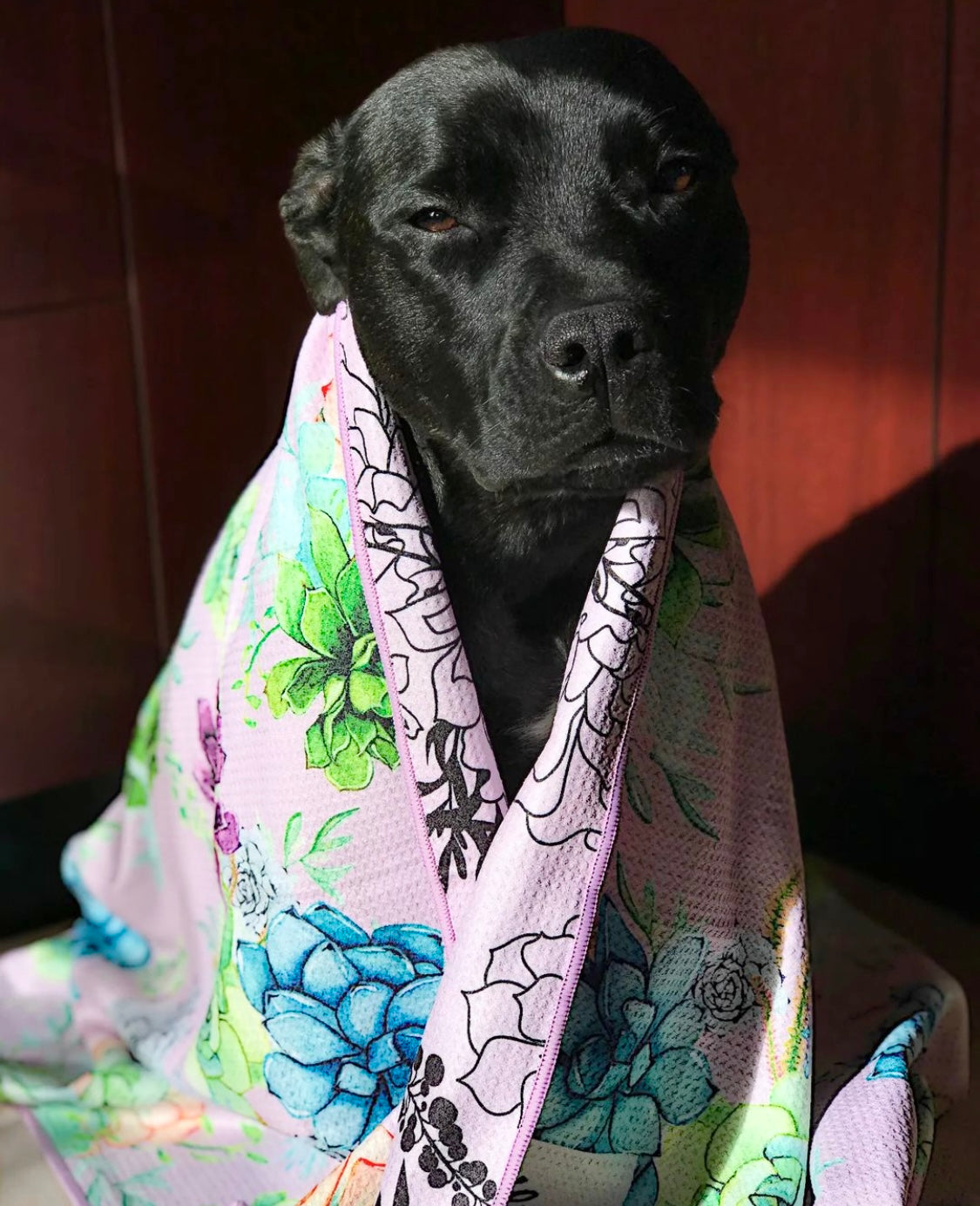 Succulent Medley Dog Travel and Bath Towel
