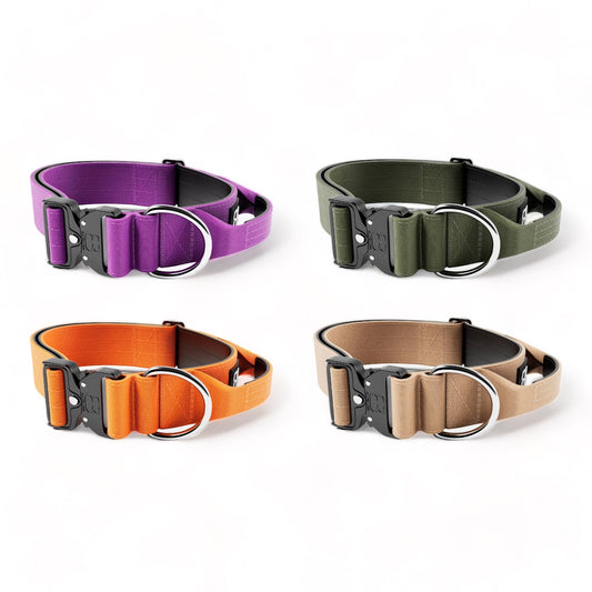 Combat Dog Collar 5cm | WITH HANDLE & Rated Clip v2.0