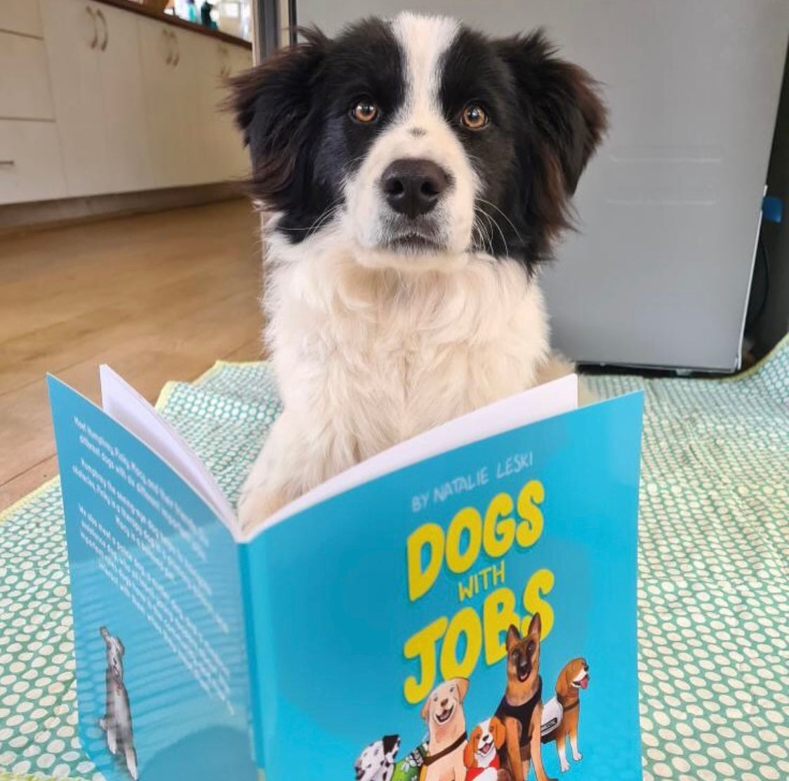 Dogs With Jobs Book