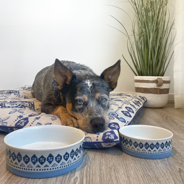 Noosa Nights Designer Food + Water Dog Bowls - Harvey & Lola