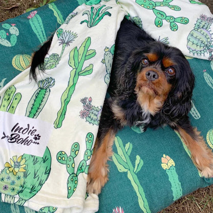 Cactus Fusion Designer Pet Blanket