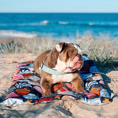 Daydream Shells Dog Travel Mat