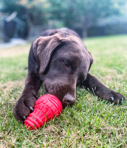 Bulb Ultra-Durable Treat Dispensing Chew Toy For Dogs