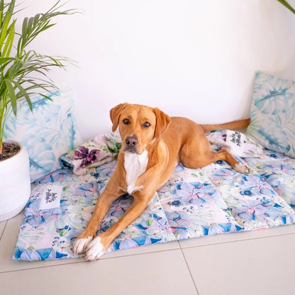 Succulent Medley Pet Travel Mat - Harvey & Lola