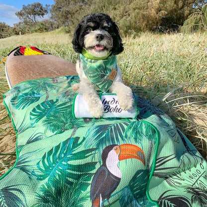 Tropical Toucan Pet Travel Towel - Harvey & Lola
