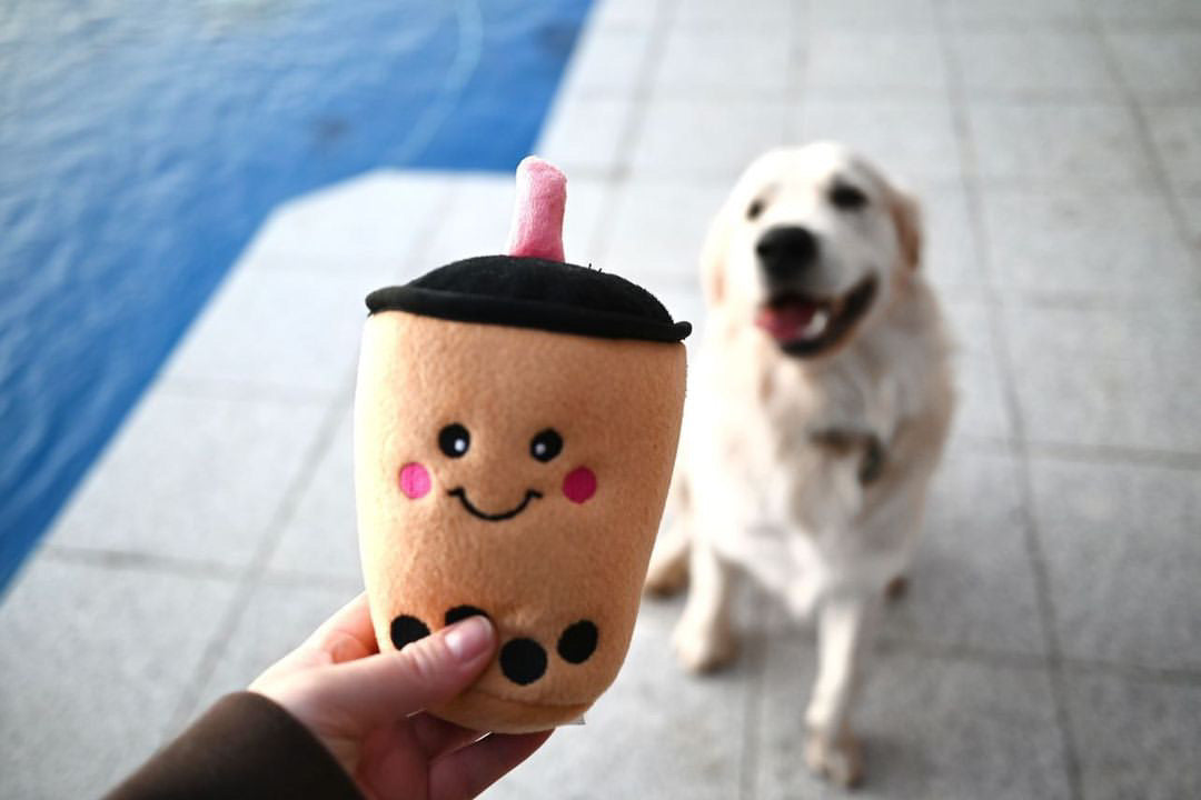 NomNomz Boba Milk Tea Plush Squeaker Dog Toy - Harvey & Lola