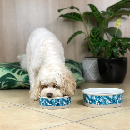 Tropical Leaves Designer Food + Water Dog Bowls - Harvey & Lola