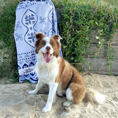 Noosa Nights Dog Travel and Bath Towel - Harvey & Lola