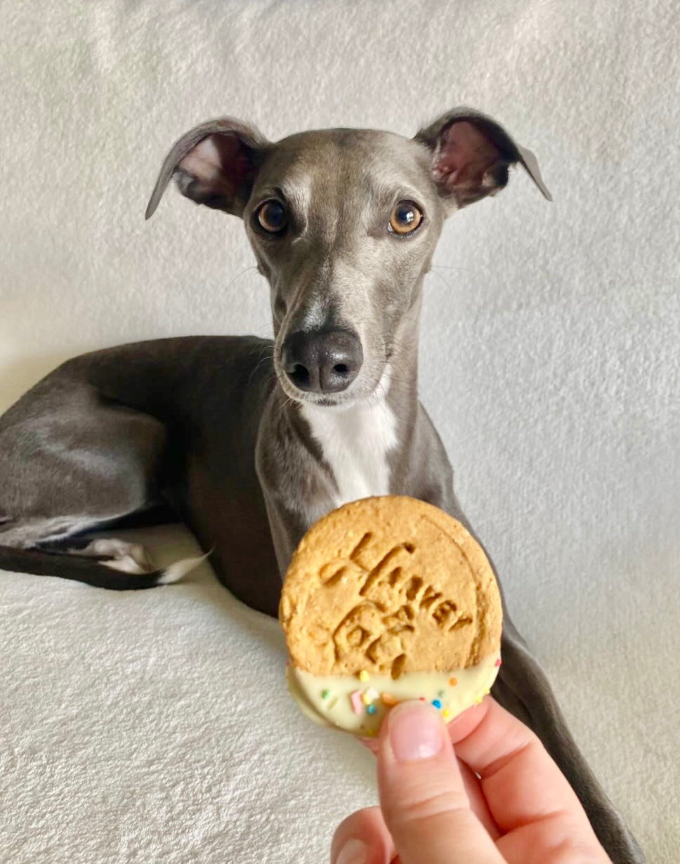 Greyhound 2024 dog biscuits