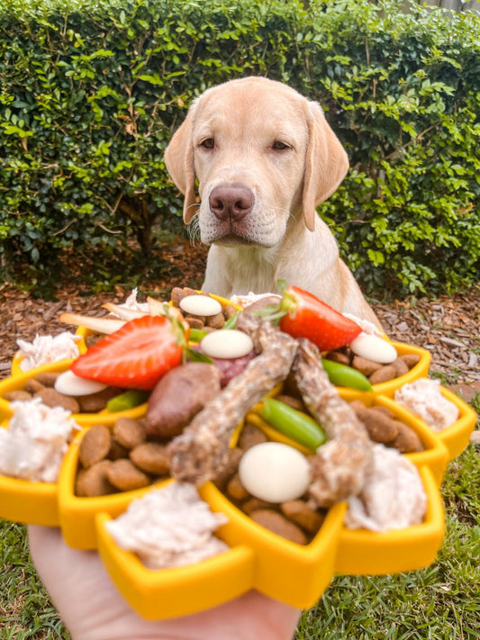 Mandala Slow Feeder eTray
