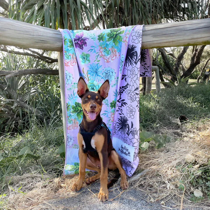 Succulent Medley Dog Travel and Bath Towel - Harvey & Lola